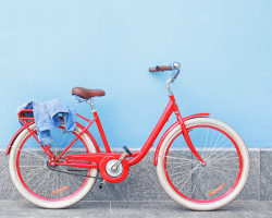 velo velo