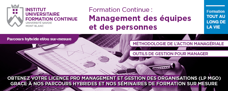 academics Continuous Professional in Management. Hybrid course Professional Bachelor's Degree in Management and Organizational Management (LP MGO)