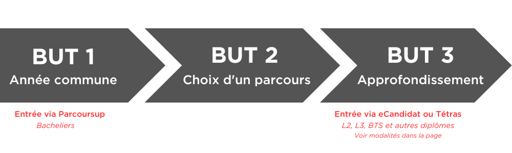 Schéma d'entrée en BUT : possibilités en première et 3ème année selon les profils.