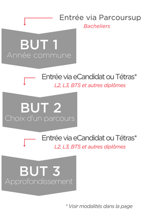 Schéma d'entrée en BUT : possibilités en première, deuxième et 3ème année selon les profils.