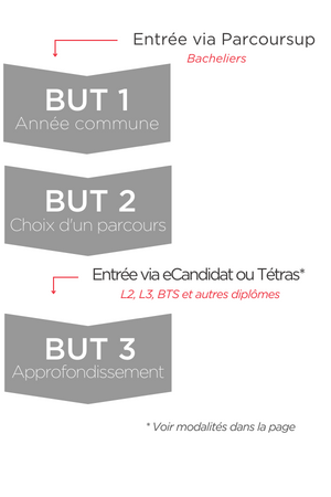 Schéma d'entrée en BUT : possibilités en première et 3ème année selon les profils.