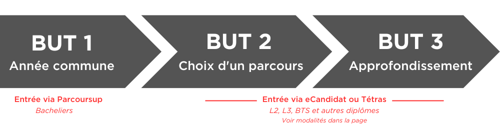 Schéma d'entrée en BUT : possibilités en première, deuxième et 3ème année selon les profils.