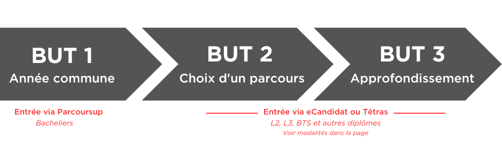 Schéma d'entrée en BUT : possibilités en première, deuxième et 3ème année selon les profils.