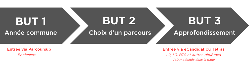 Schéma d'entrée en BUT : possibilités en première et 3ème année selon les profils.