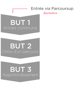 Entry scheme BUT : first-year entry only.