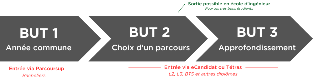 Schéma d'entrée en BUT : possibilités en première, deuxième et 3ème année selon les profils. Sortie possible en deuxième année vers une école d'ingénieur.