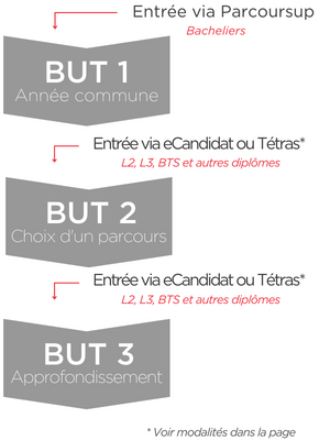 Schéma d'entrée en BUT : possibilités en première, deuxième et 3ème année selon les profils.