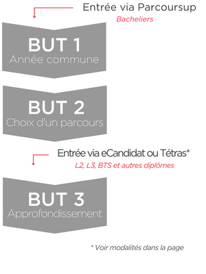 Schéma d'entrée en BUT : possibilités en première et 3ème année selon les profils.