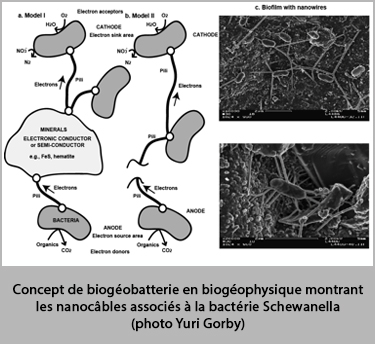 figure-concept-biogeophysique-revil