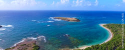 Caseis Martinique