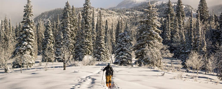 Au centre de l'image, une personne équipée de ski de randonnée se fraye un chemin à travers une neige épaisse.