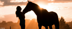 Une femme et un cheval se tiennent côte à côte.