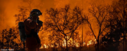 firefighters battle a wildfire because climate change and global warming is a driver of global wildfire trends.