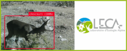 projet deepfaune leca