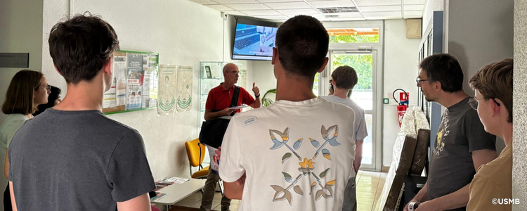 visite croma