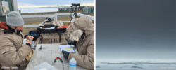 l’arctique, terrain de recherche depuis quinze ans pour glenn yannic, chercheur du leca