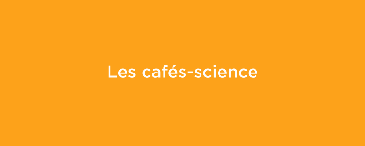 les conférences amphis pour tous et toutes(5)