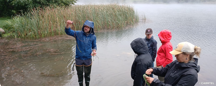 Légende : Identification de plantes aquatiques. Crédit CARRTEL