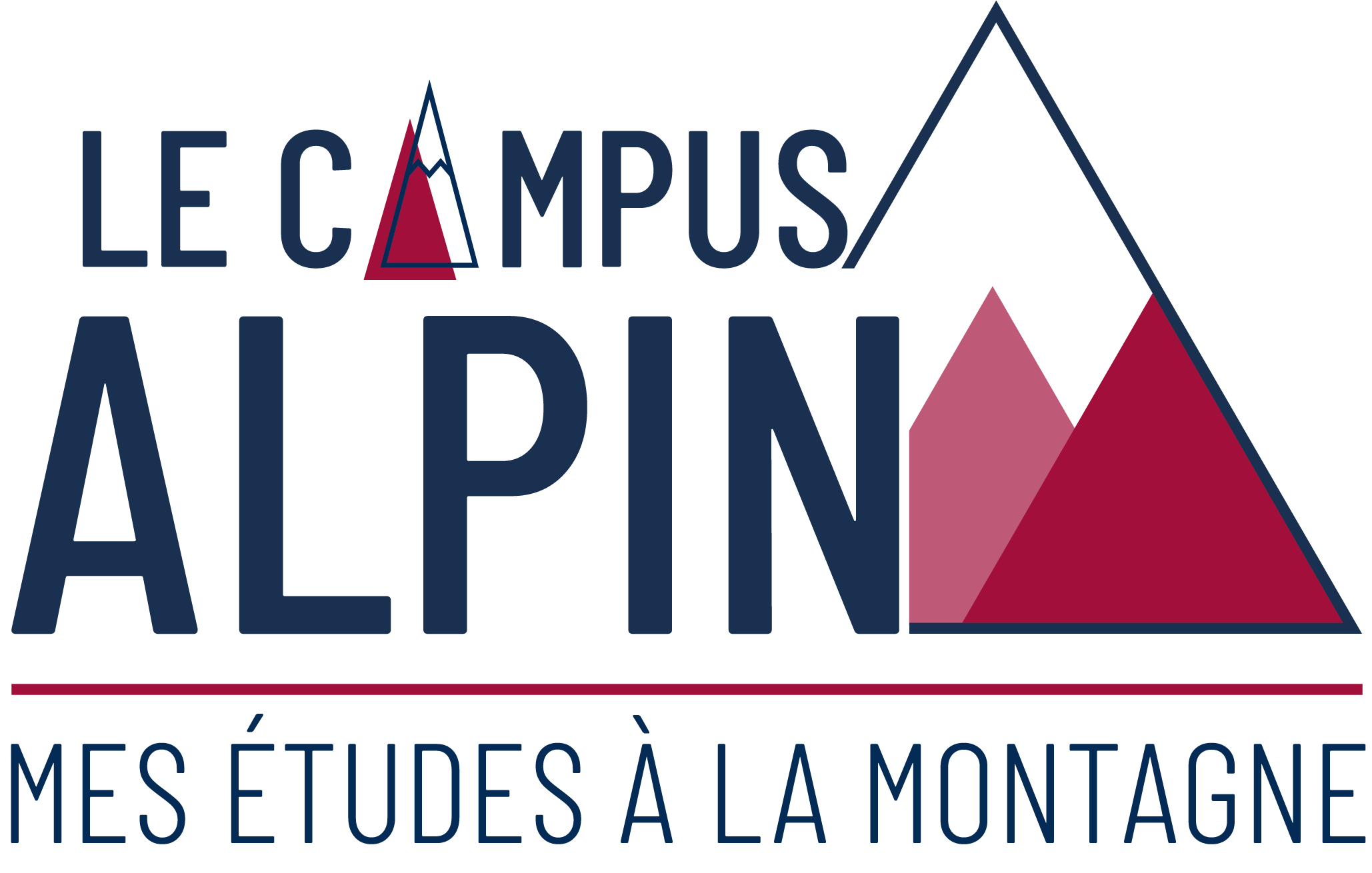 logo campus alpin bicolore