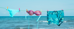 the conversation « le naturisme, laboratoire des tensions touristiques comment cohabiter entre vacanciers »